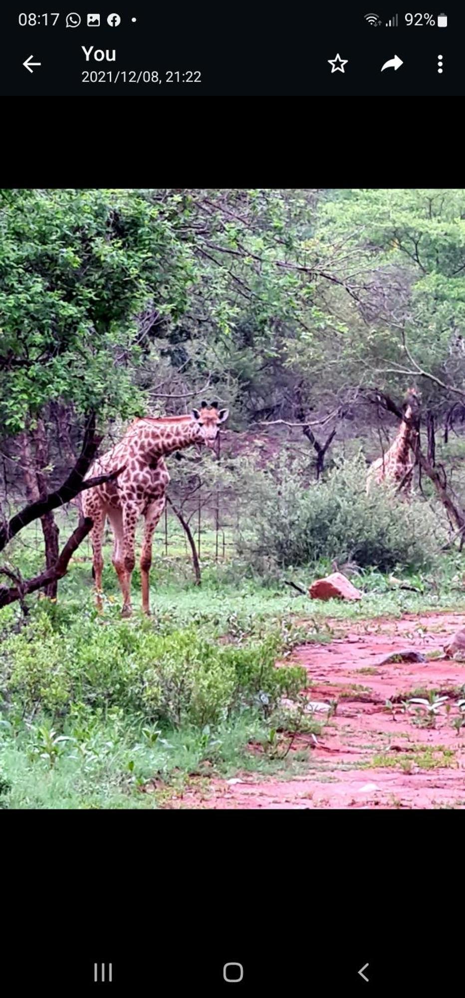 66 Sharalumbi Wildlife Estate Apartment Lydenburg Room photo